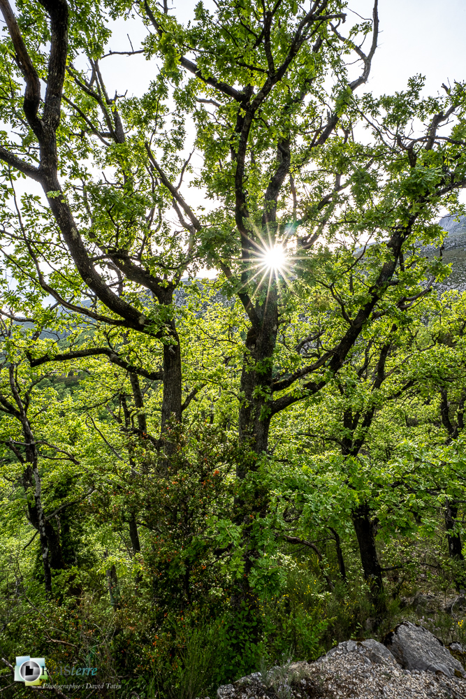 verdon_43°50'17.436