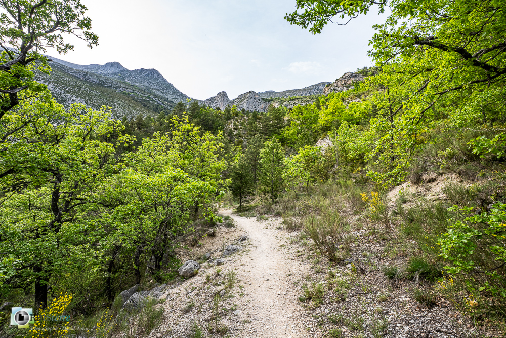 verdon_43°50'17.436
