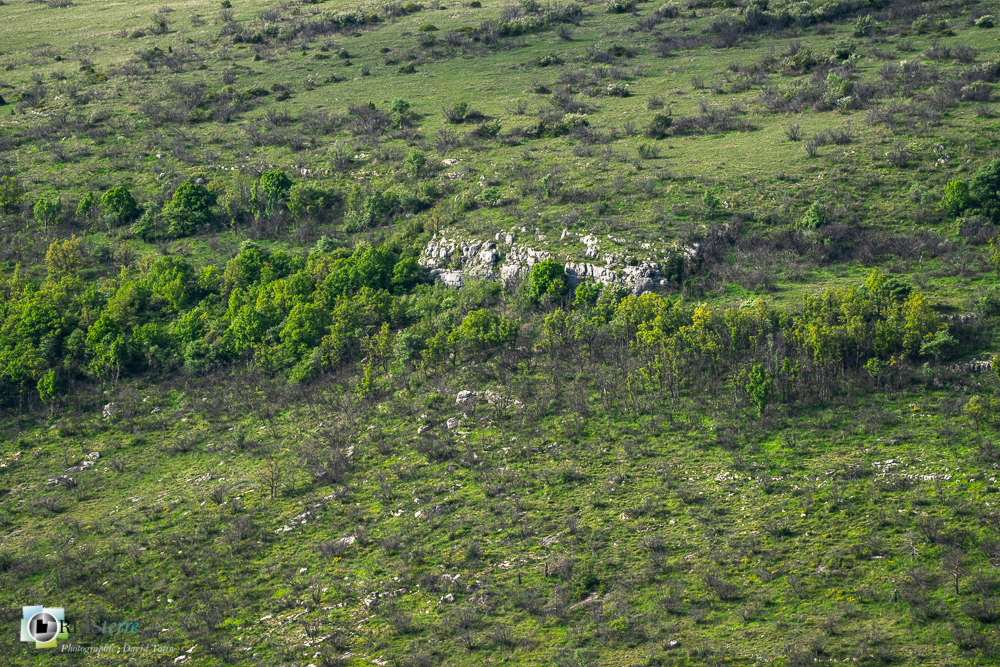 verdon_43°50'2.382
