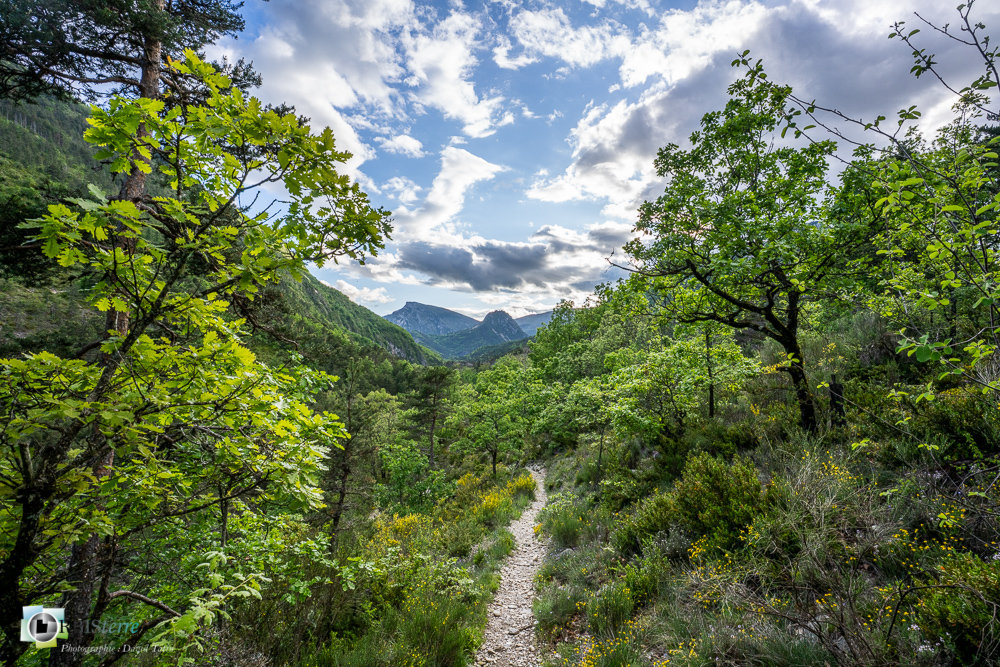 verdon_43°50'9.5945