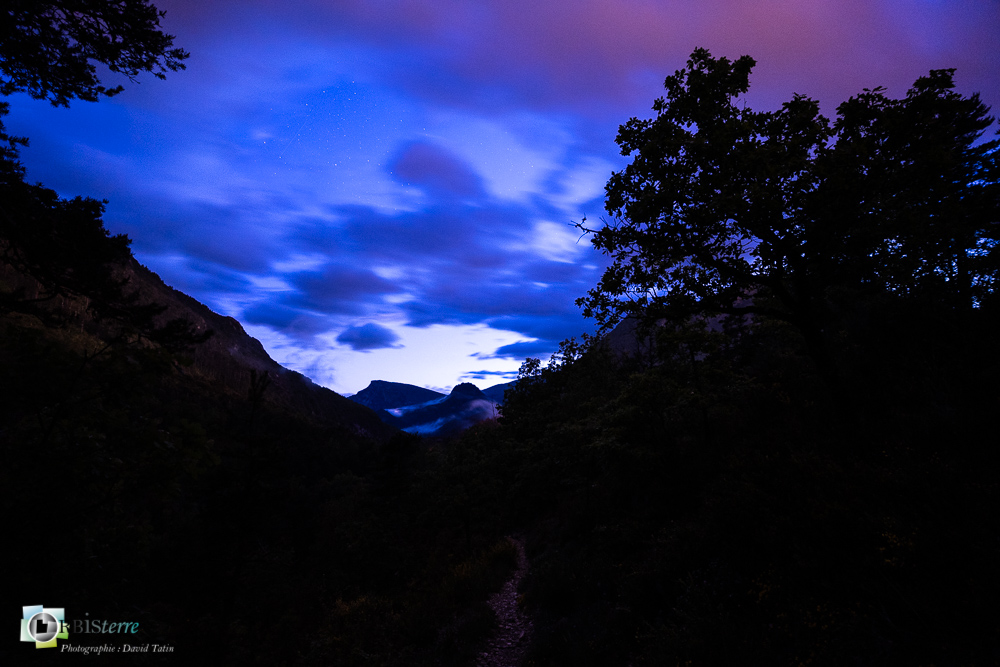 verdon__