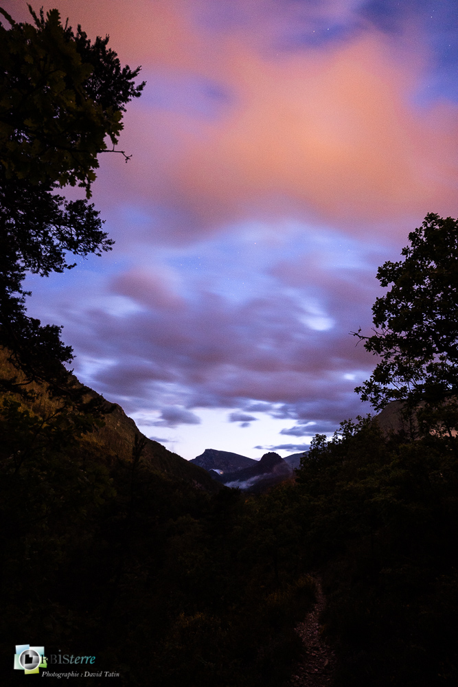 verdon__