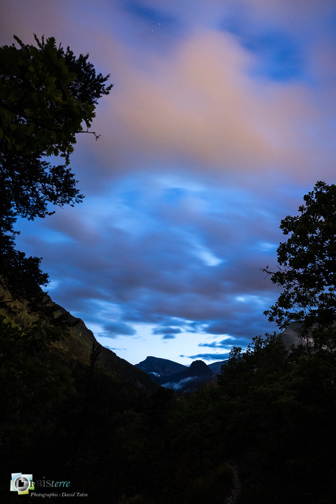 verdon__