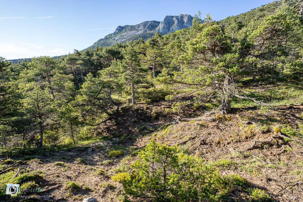 verdon_43°51'48.563