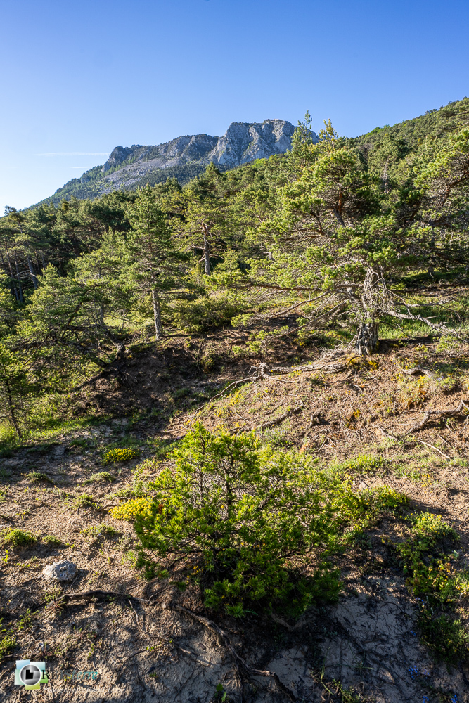 verdon_43°51'48.475