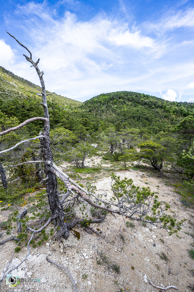 verdon_43°51'39.33