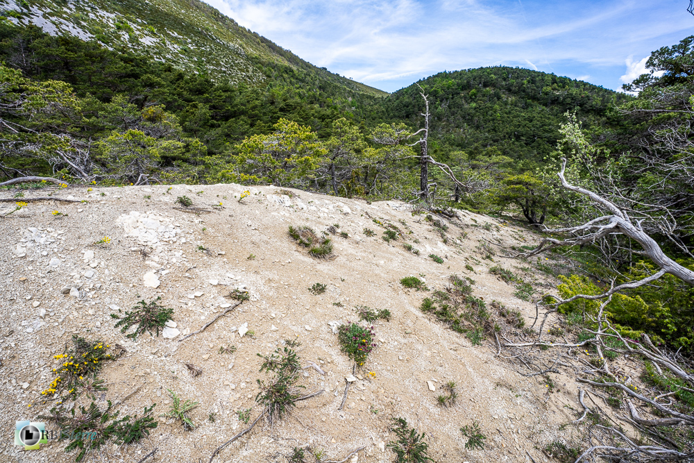 verdon_43°51'39.222