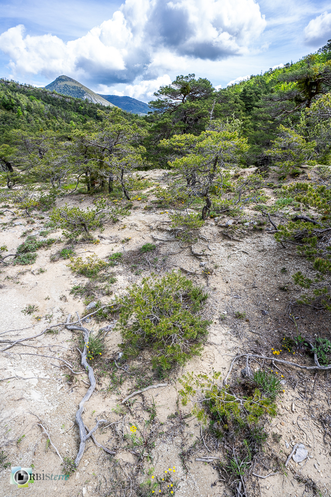 verdon_43°51'39.282