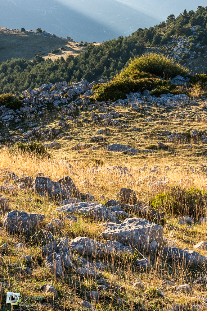 castellane, verdon__