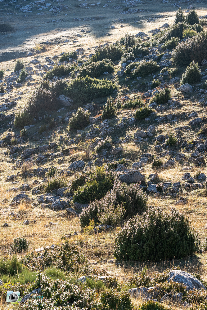 castellane, verdon__