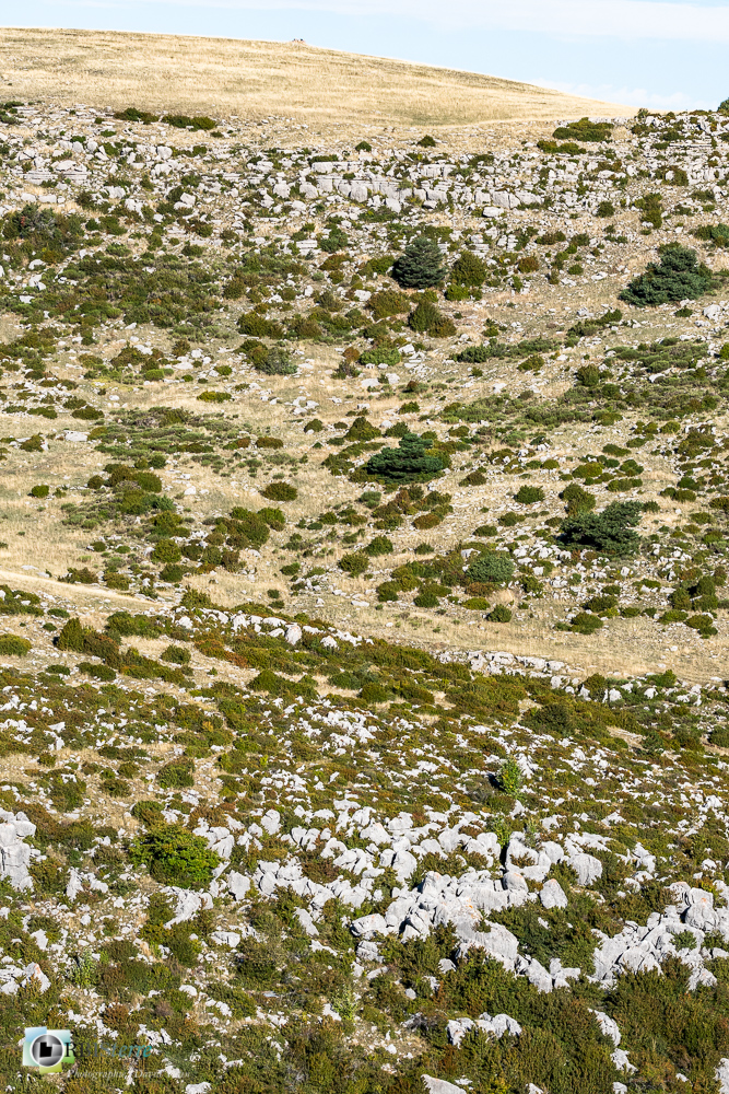 castellane, verdon__