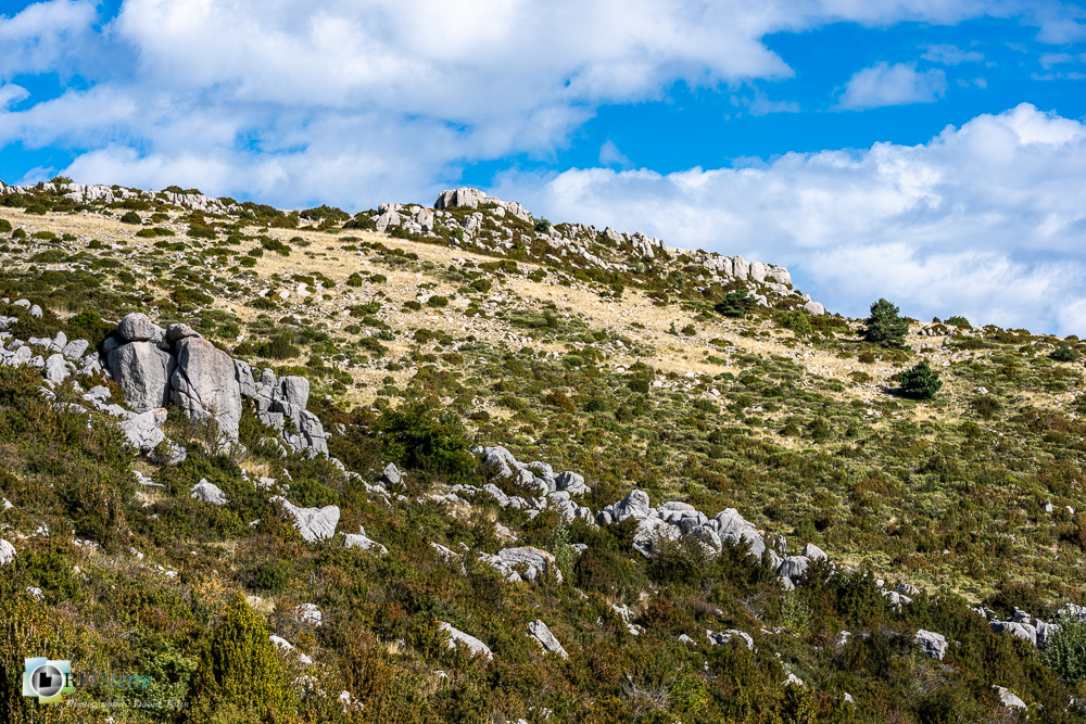 castellane, verdon__