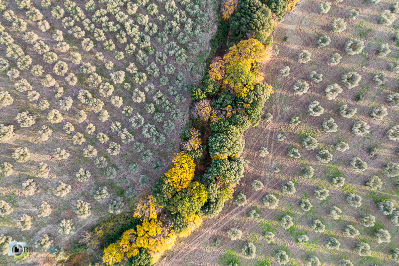Alpilles, Bouches-du-Rhône, aérienne, drone_43°43'1.9848