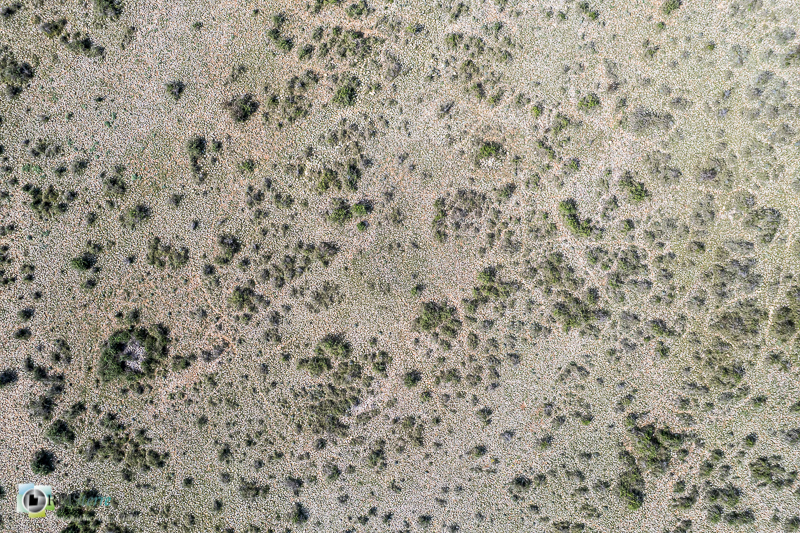 Aureille, Crau, aérienne, drone_43°40'6.449