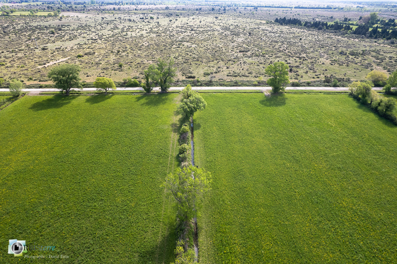 Aureille, Crau, aérienne, drone_43°40'8.656