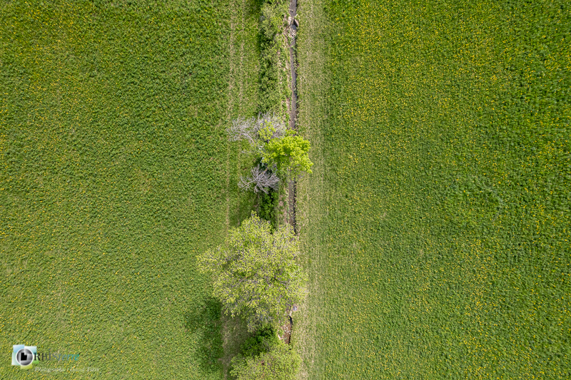 Aureille, Crau, aérienne, drone_43°40'8.6664