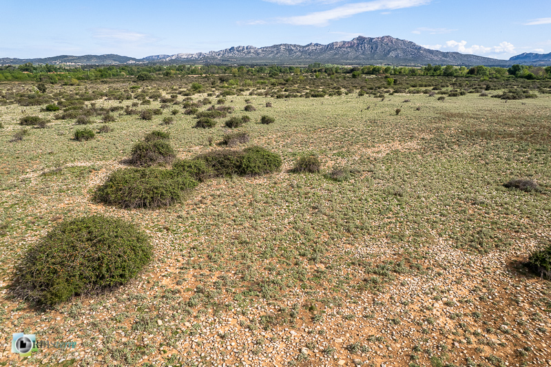 Aureille, Crau, aérienne, drone_43°40'14.0293