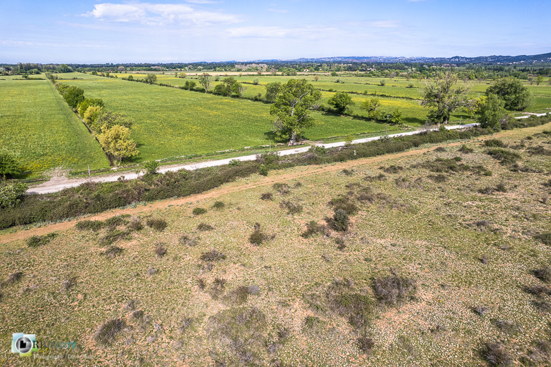 Aureille, Crau, aérienne, drone_43°40'4.3297
