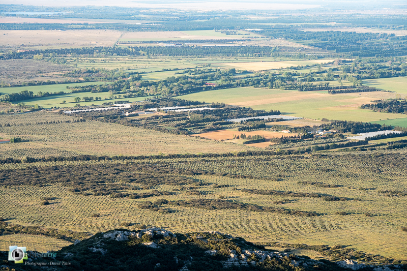 Alpilles, Aureille, Bouches-du-Rhône, opies_43°39'23.1789