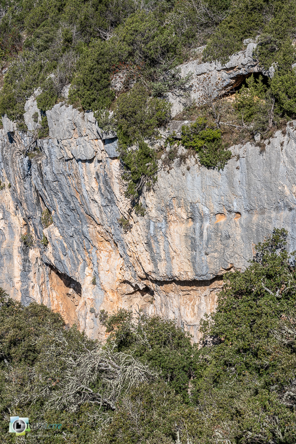 Alpes de Haute Provence, esparron, falaise, parc naturel régional du verdon__