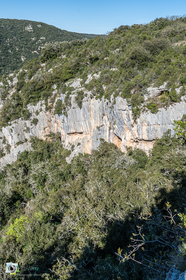 Alpes de Haute Provence, esparron, falaise, parc naturel régional du verdon_43°43'0.695