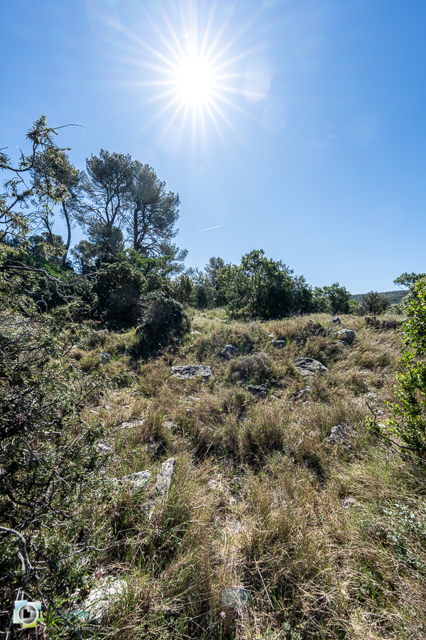 Alpes de Haute Provence, esparron, parc naturel régional du verdon__