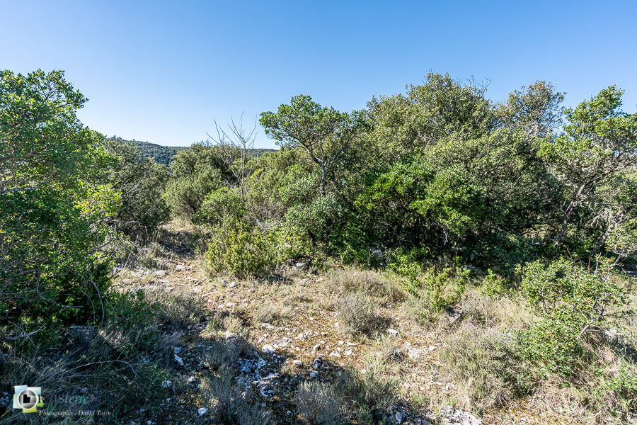 Alpes de Haute Provence, esparron, parc naturel régional du verdon__