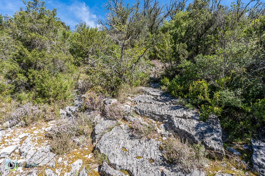 Alpes de Haute Provence, esparron, parc naturel régional du verdon__