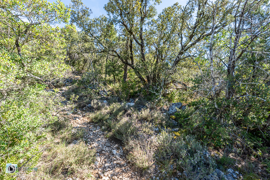 Alpes de Haute Provence, esparron, parc naturel régional du verdon__