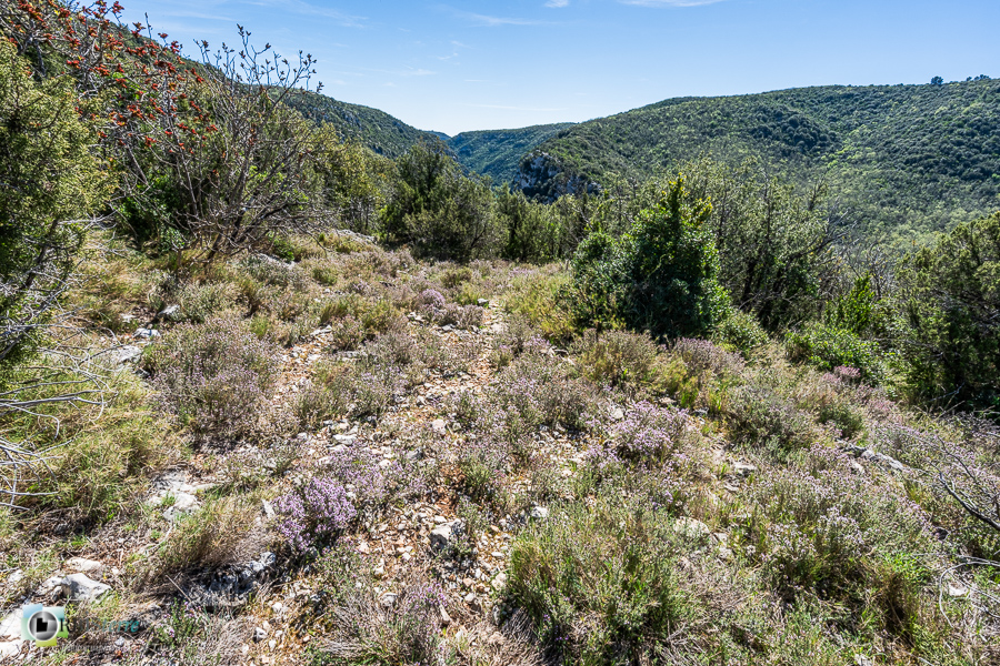 Alpes de Haute Provence, esparron, parc naturel régional du verdon__