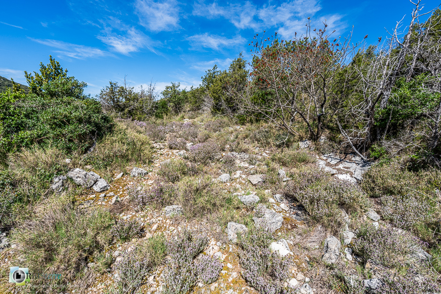 Alpes de Haute Provence, esparron, parc naturel régional du verdon__