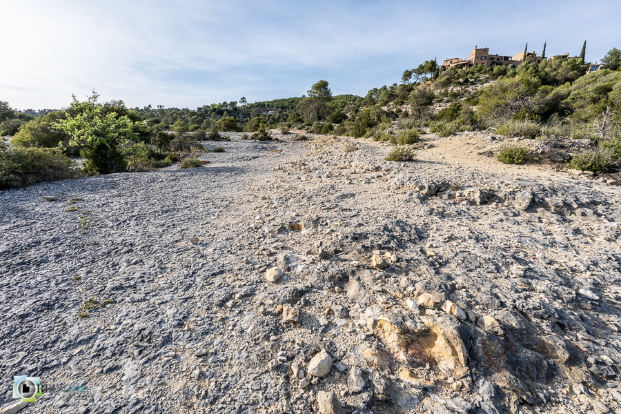 Alpes de Haute Provence, dalle rocheuse, esparron, parc naturel régional du verdon, roche_43°44'16.45