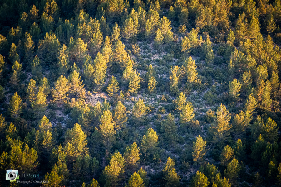 Alpes de Haute Provence, esparron, parc naturel régional du verdon__