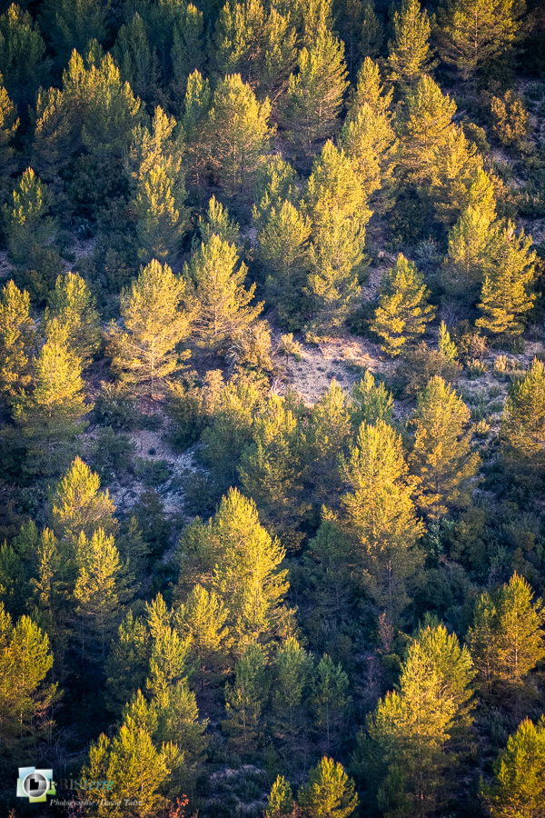 Alpes de Haute Provence, esparron, parc naturel régional du verdon__