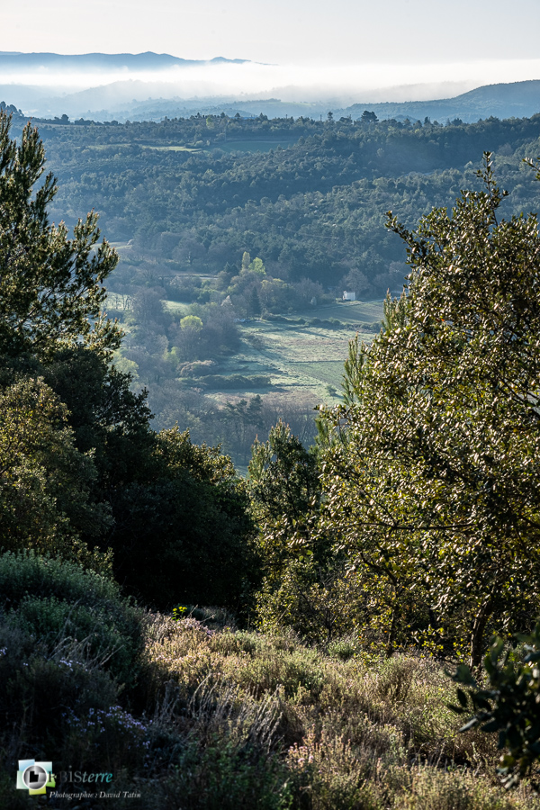 Alpes de Haute Provence, esparron, parc naturel régional du verdon__