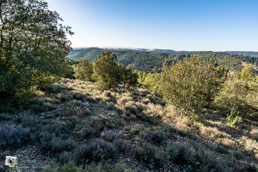 Alpes de Haute Provence, esparron, parc naturel régional du verdon_43°45'18.757