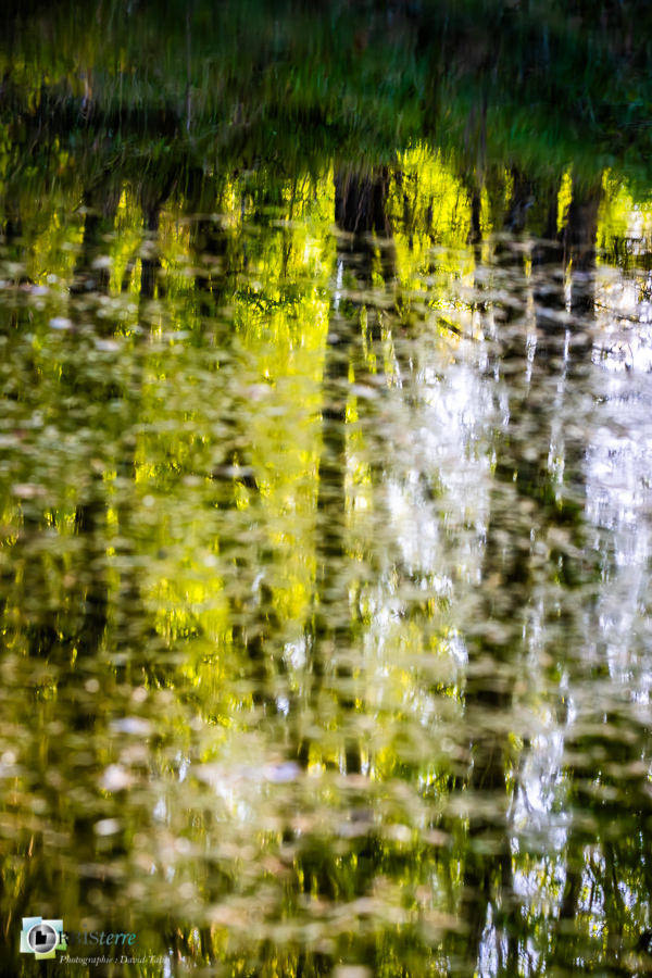 Alpes de Haute Provence, Revest-des-Brousses, mare, parc naturel régional du luberon, reflet__