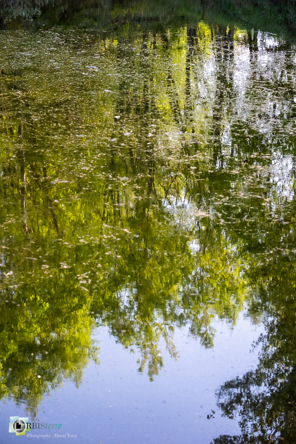 Alpes de Haute Provence, Revest-des-Brousses, mare, parc naturel régional du luberon, reflet__