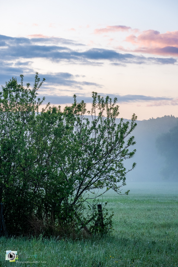 Alpes de Haute Provence, Revest-des-Brousses, lever du jour, parc naturel régional du luberon, prairie__