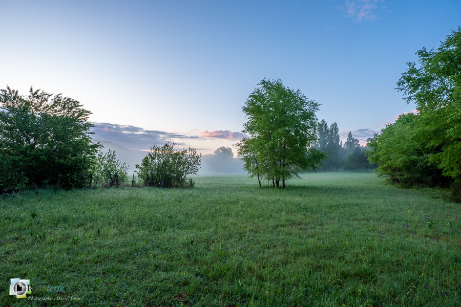 Alpes de Haute Provence, Revest-des-Brousses, lever du jour, parc naturel régional du luberon, prairie__