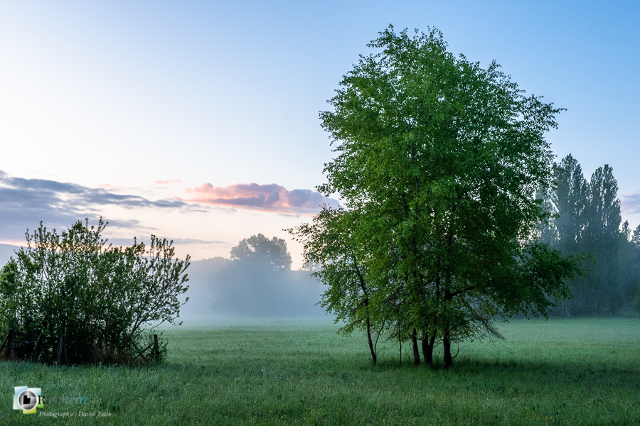 Alpes de Haute Provence, Revest-des-Brousses, lever du jour, parc naturel régional du luberon, prairie__