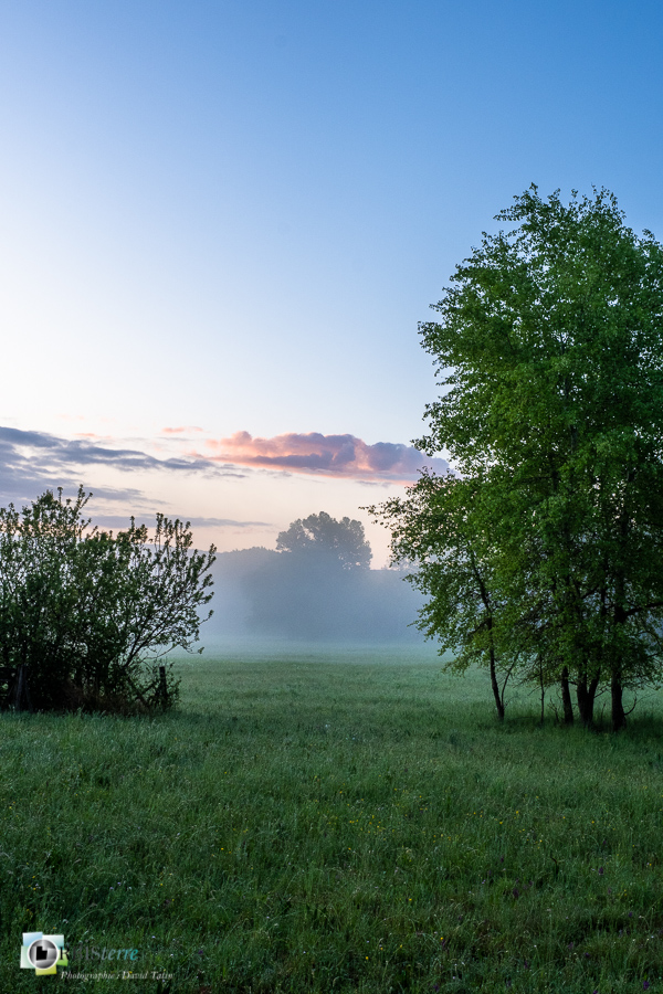 Alpes de Haute Provence, Revest-des-Brousses, lever du jour, parc naturel régional du luberon, prairie__