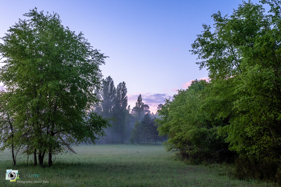 Alpes de Haute Provence, Revest-des-Brousses, lever du jour, parc naturel régional du luberon, prairie__