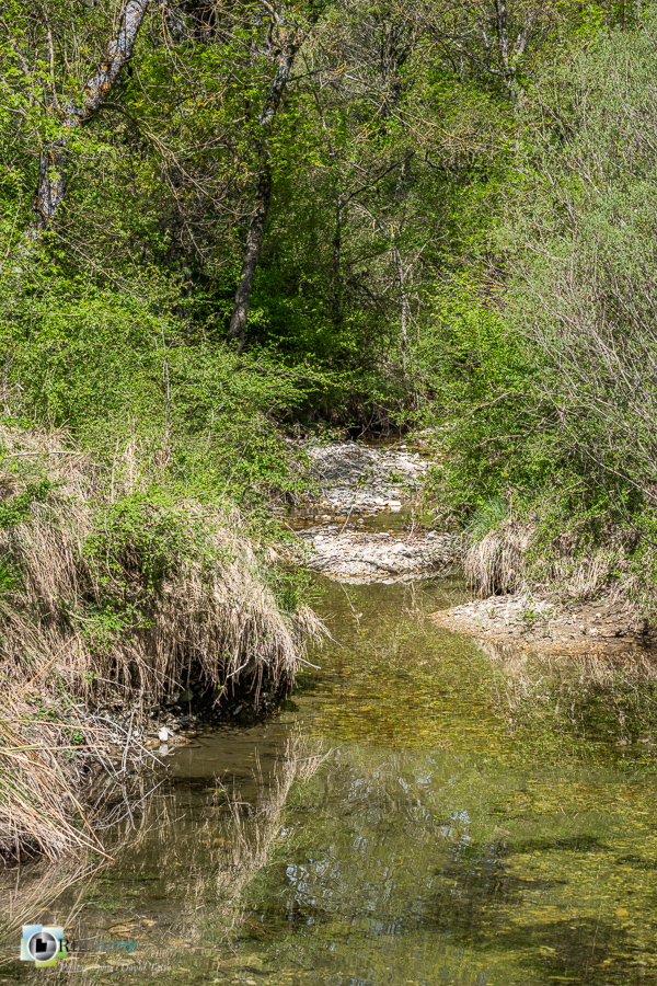 Alpes de Haute Provence, Largue, Revest-des-Brousses, parc naturel régional du luberon, rivière__