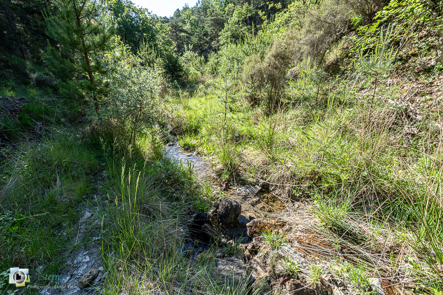 alpes de haute provence, luberon, revest-des-brousses, ruisseau, zone humide__