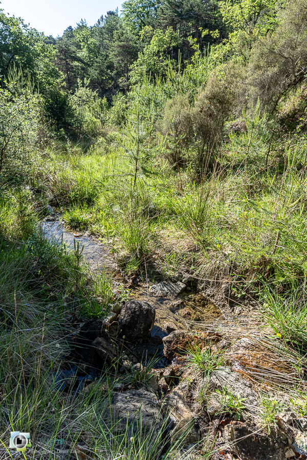 alpes de haute provence, luberon, revest-des-brousses, ruisseau, zone humide__
