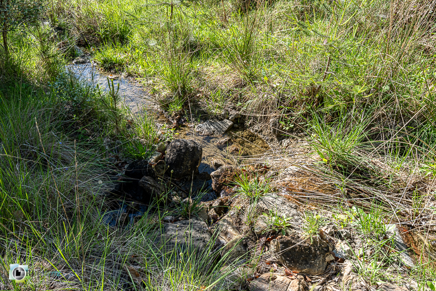 alpes de haute provence, luberon, revest-des-brousses, ruisseau, zone humide__