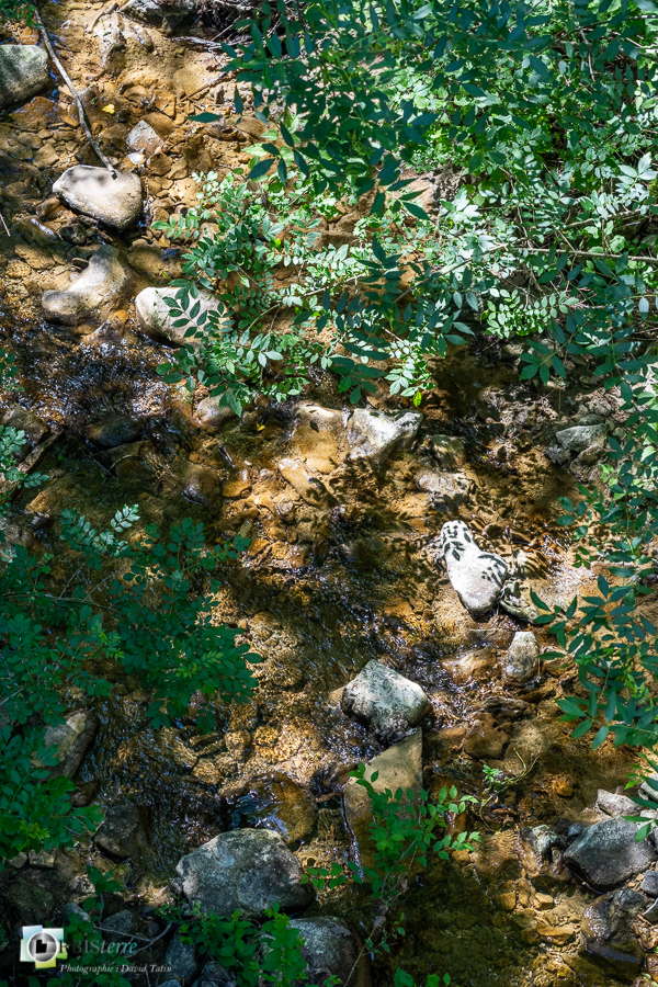 Largue, alpes de haute provence, luberon, revest-des-brousses, rivière__