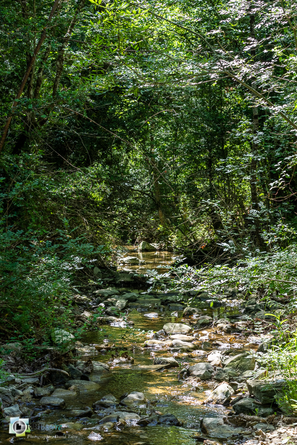 Largue, alpes de haute provence, luberon, revest-des-brousses, rivière__