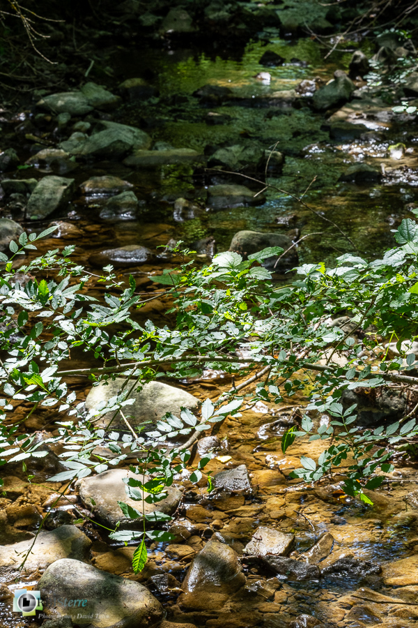 Largue, alpes de haute provence, luberon, revest-des-brousses, rivière__